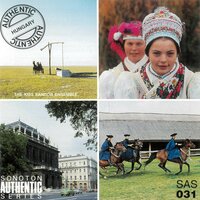 Flying Bumblebee - Mladen Franko & Niko Radic