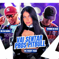 Vai Sentar pros Pitbull - Nel da Gaiola & MC MARY MAII