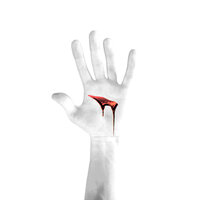 инженю - гайство, кошки!