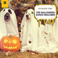 Arabian Trance (Uplifting Ethnic Psy Trance) - Xander