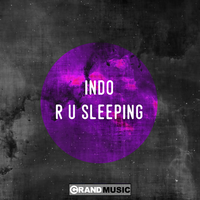 R U Sleeping - Indo & Grant Nelson