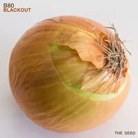 Blackout - b80 & Starmist