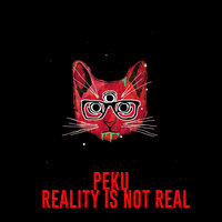 Reality is not real - Pęku