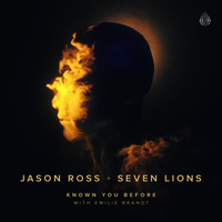 Known You Before (with Emilie Brandt) - Jason Ross & Seven Lions & Emilie Brandt