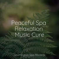 Relaxation - Lush Rain Creators & Zarobi & Fabricantes De Lluvia