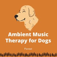 Ambient Music Therapy for Dogs (Forest) - Calming Music for Dogs & Relaxing Dog Music & Dog Therapy