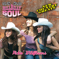 South Side of Dixie - Hillbilly Soul