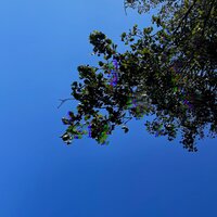 DMC DELORIAN - Tyrone