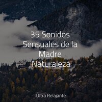 Profundamente Soñando - Saludo al Sol Sonido Relajante & Música ambiental relajante & Musica Relajante Piano Master