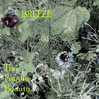 Circus in Town - Breeze