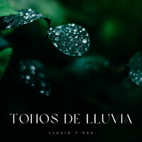 Música Y Sonidos De Lluvia - Tormentas Naturales & Lluvia para un sueño profundo & Fabricantes De Lluvia
