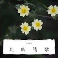 失眠情歌 - 小雨点