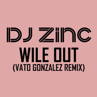 Wile Out - DJ Zinc & Ms. Dynamite