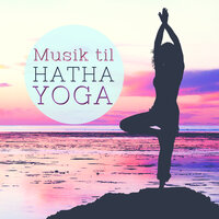 Heal Din Krop - Hatha Yoga Maestro