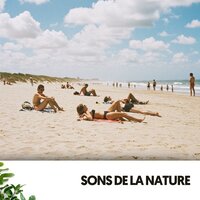 Instrumentale Studiensitzung - Dog Relaxation & Relaxing Guru & Travail Bureau France