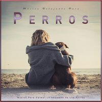 La Mejor Música para Mascotas - Música Para Perros & Ansiedad De Los Perros & Música Relajante para Perros