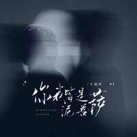 你我皆是泥菩萨 - 王超然