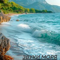 Лесная симфония - Мелодии для расслабления вашей жизни & Музыка чтобы не думать слишком много & Бесконечное спокойствие