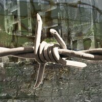 Reading the Past - The Bulgarian Film Orchestra & Gregor F. Narholz