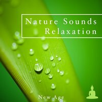 La Esperanza en Tu Corazón - Relax 4 Relax