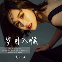 岁月入喉 - 久儿红