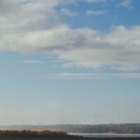 Foraoise - Warmth & Human Is Alive