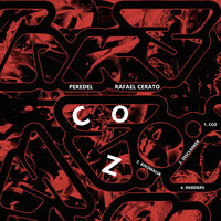 Disclaimer - Peredel & Rafael Cerato