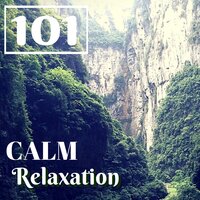 Time to Meditate - Relaxing Spa Music Master