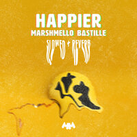 Happier - Marshmello & Bastille