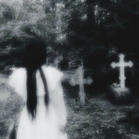 the lvst breath - nvtro