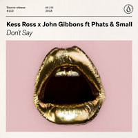 Don't Say - Kess Ross & John Gibbons & Phats & Small