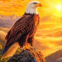 Transgender - Sped Up - Jutidy & Connor