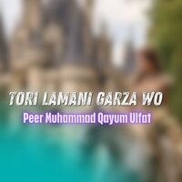 Za Somra Qaymati Yama - Peer Muhammad & Qayum Ulfat