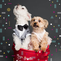 Magnificent Ambiance for Sleepy Pups - Dog Separation Anxiety Music