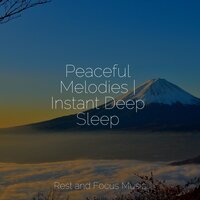 Sincerity - Relaxamento & Shakuhachi Sakano & Zen Meditate