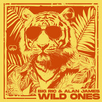 Wild Ones - BIG RIC & Alan James
