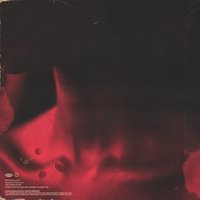 В моей крови - LA LE