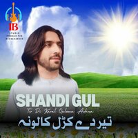 Tir Di Karal Qaloona Ashna - Shandi Gul
