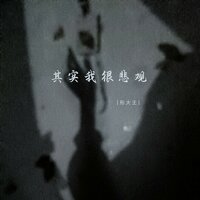 其实我很悲观 - 彤大王
