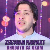 Khudaya Sa Okam - Zeeshan Marwat