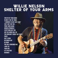 Everything but You - Willie Nelson