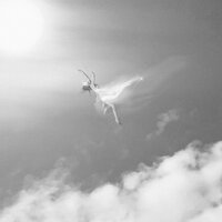 Гугуша - Максим Фадеев