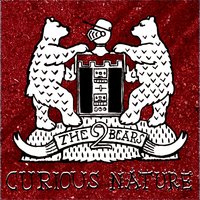 Curious Nature - The 2 Bears