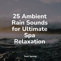 Beach, Far, Waves, Birds, Wind - Nature Soundscape & White Noise Sleep Sounds & Lightning