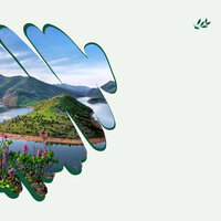 Background for Jet Lag - Acoustic Jazz