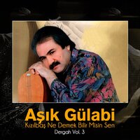 Kimdir - Aşık Gülabi
