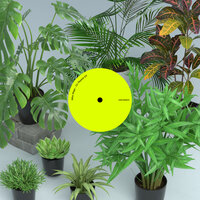 Recognise - Mike Mago