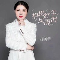 相思红尘风雨泪 - 杨美华