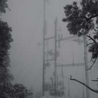 Peace in the Era of Telecommunication - Photay