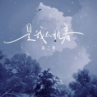 是我太执着 - 苏二零